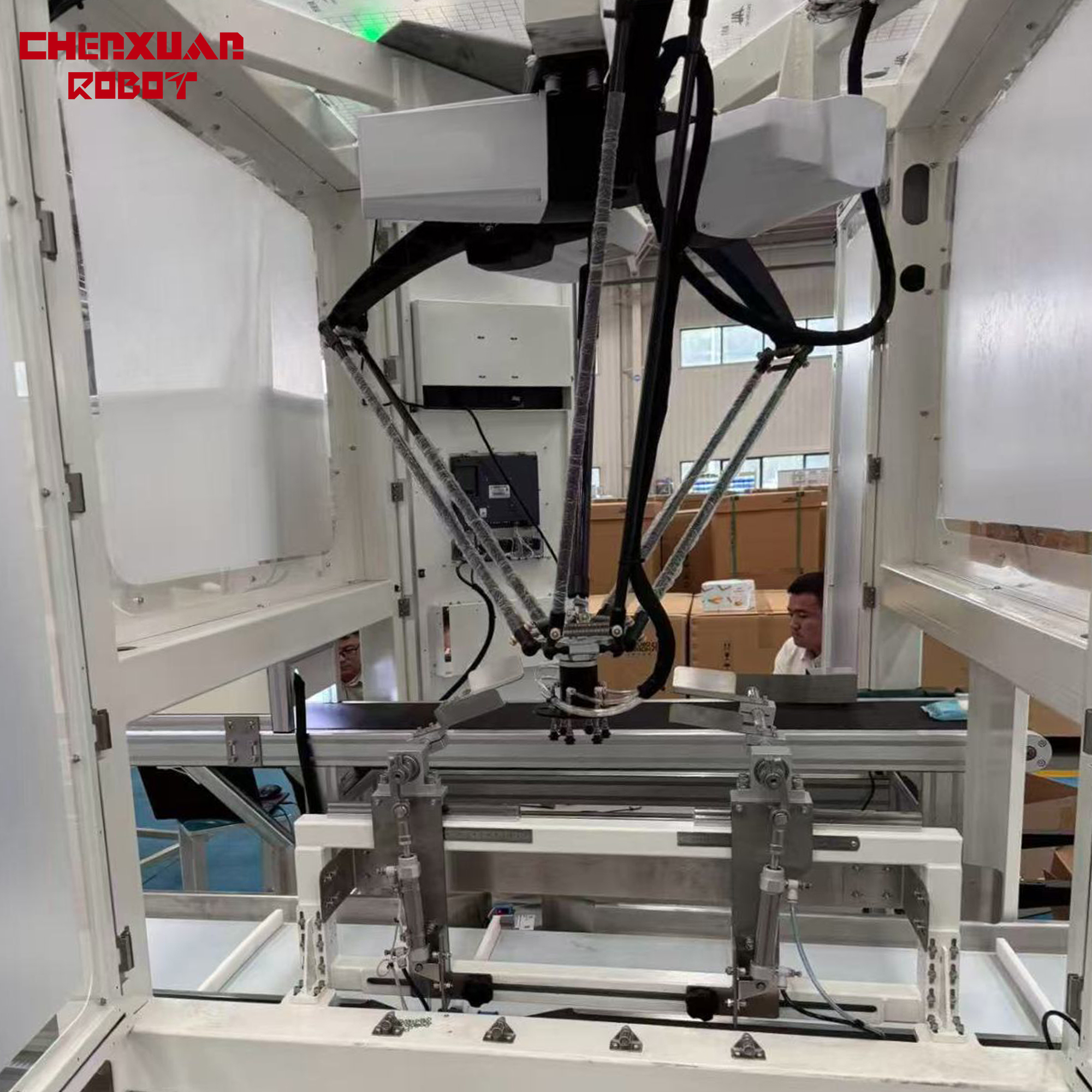 Industrial Delta Parallel Robot