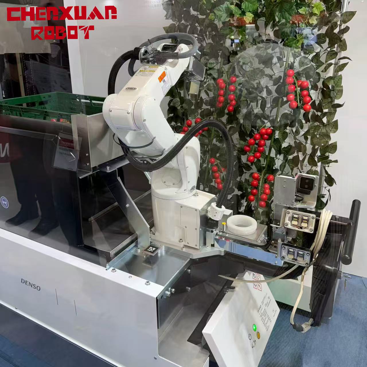 Fruit automation handling