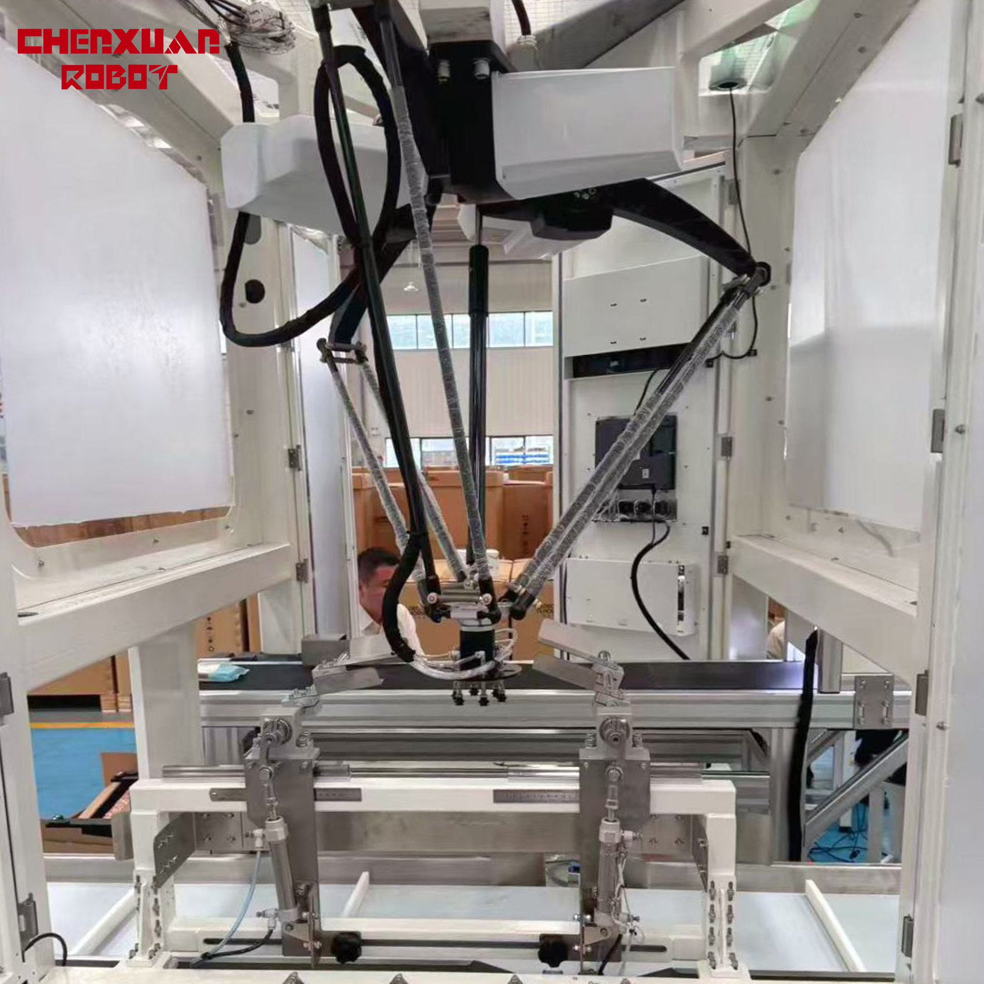 Industrial Delta Parallel Robot