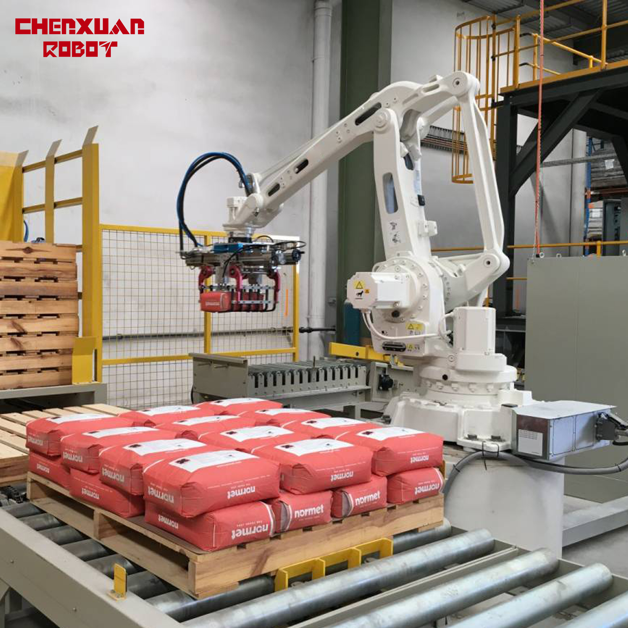 case palletizer robot