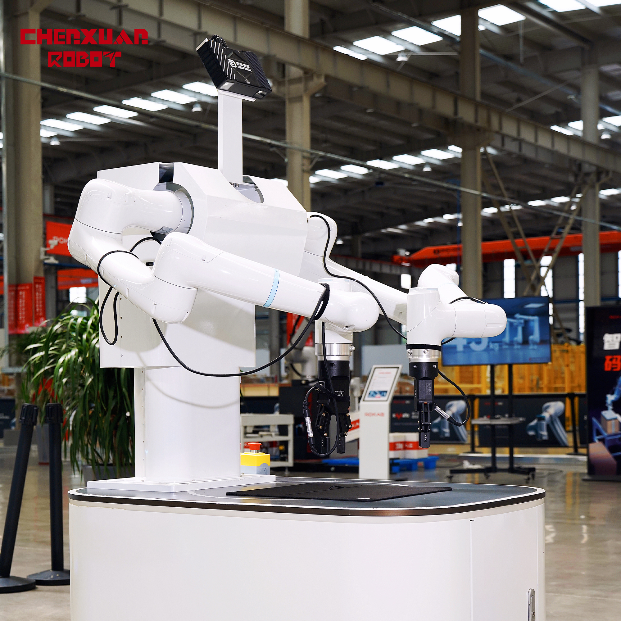 High-precision dual-arm palletizing robot