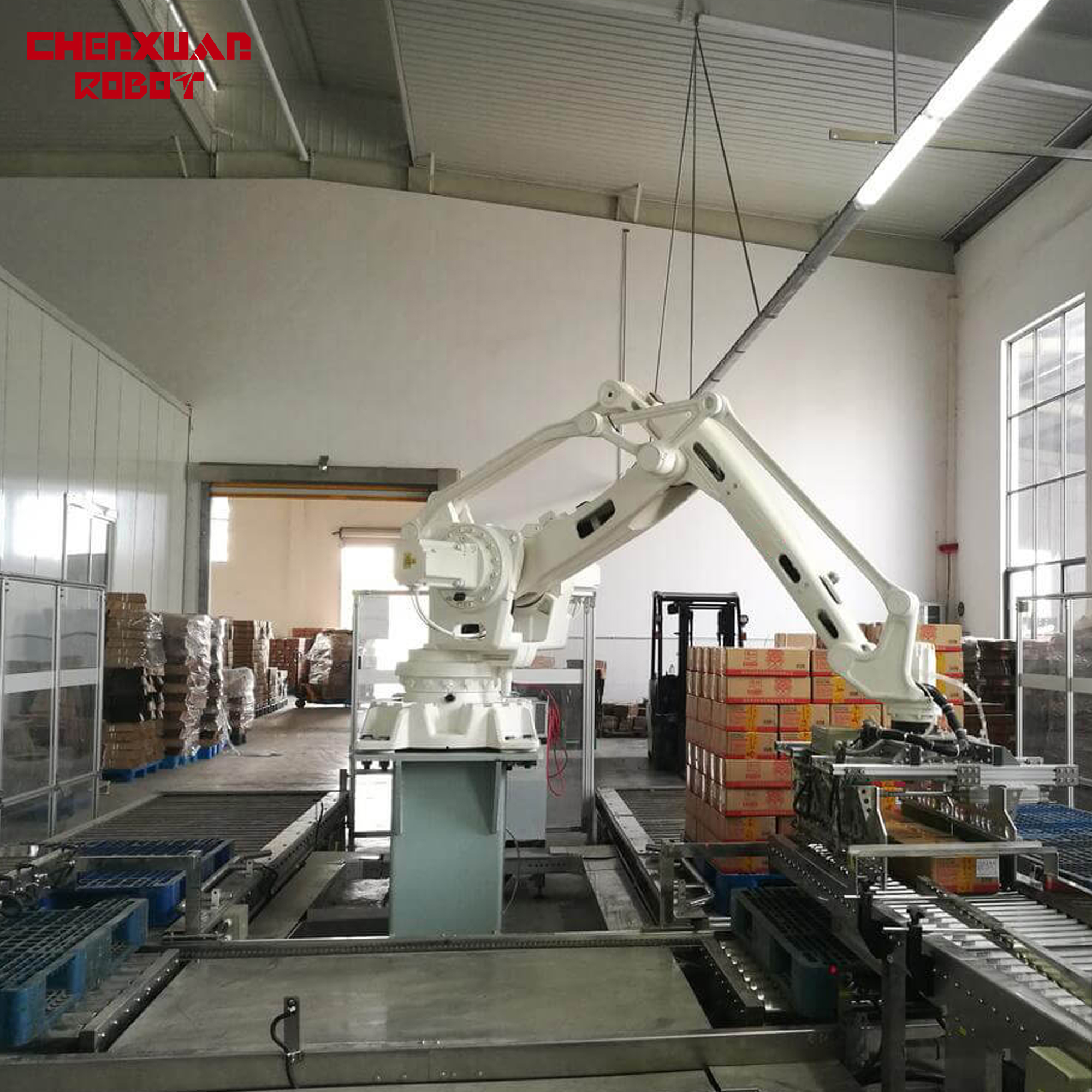 case palletizer robot