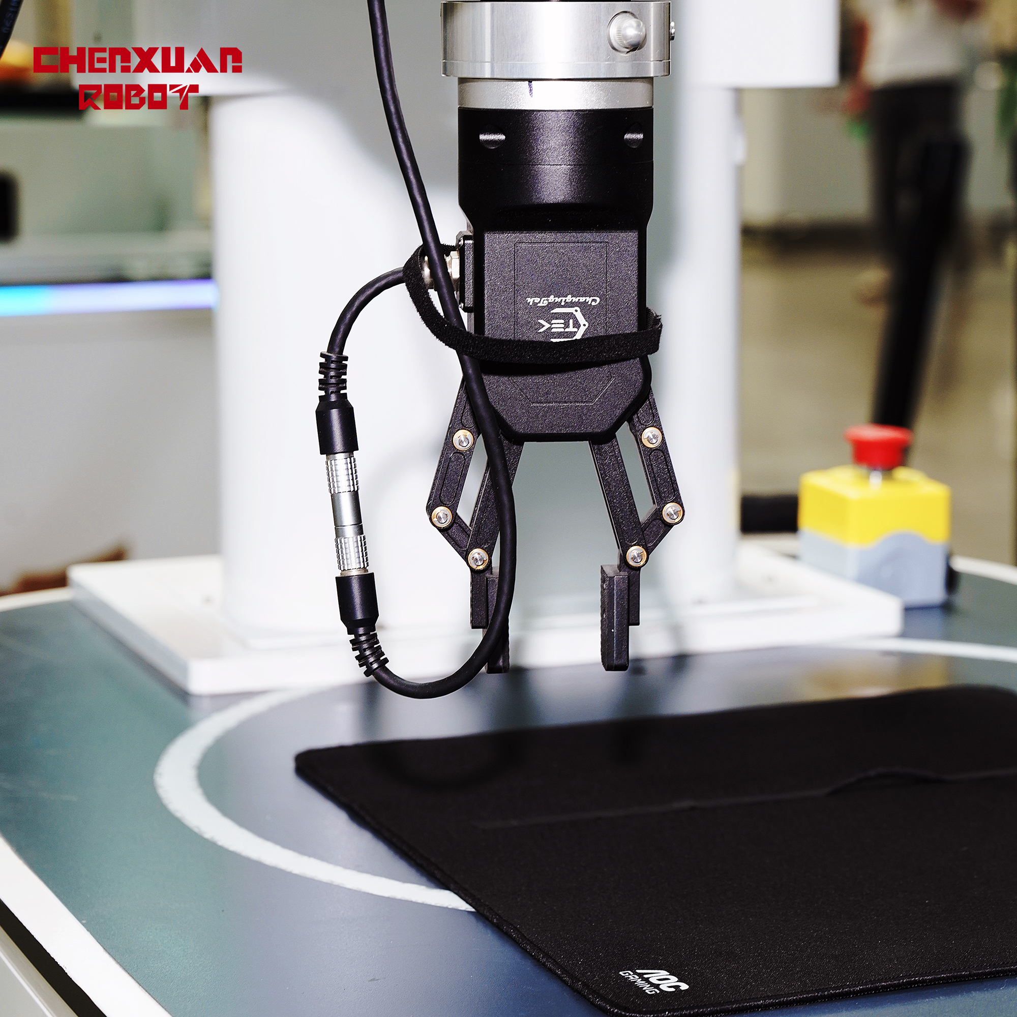 Fast-speed dual-arm palletizing robot