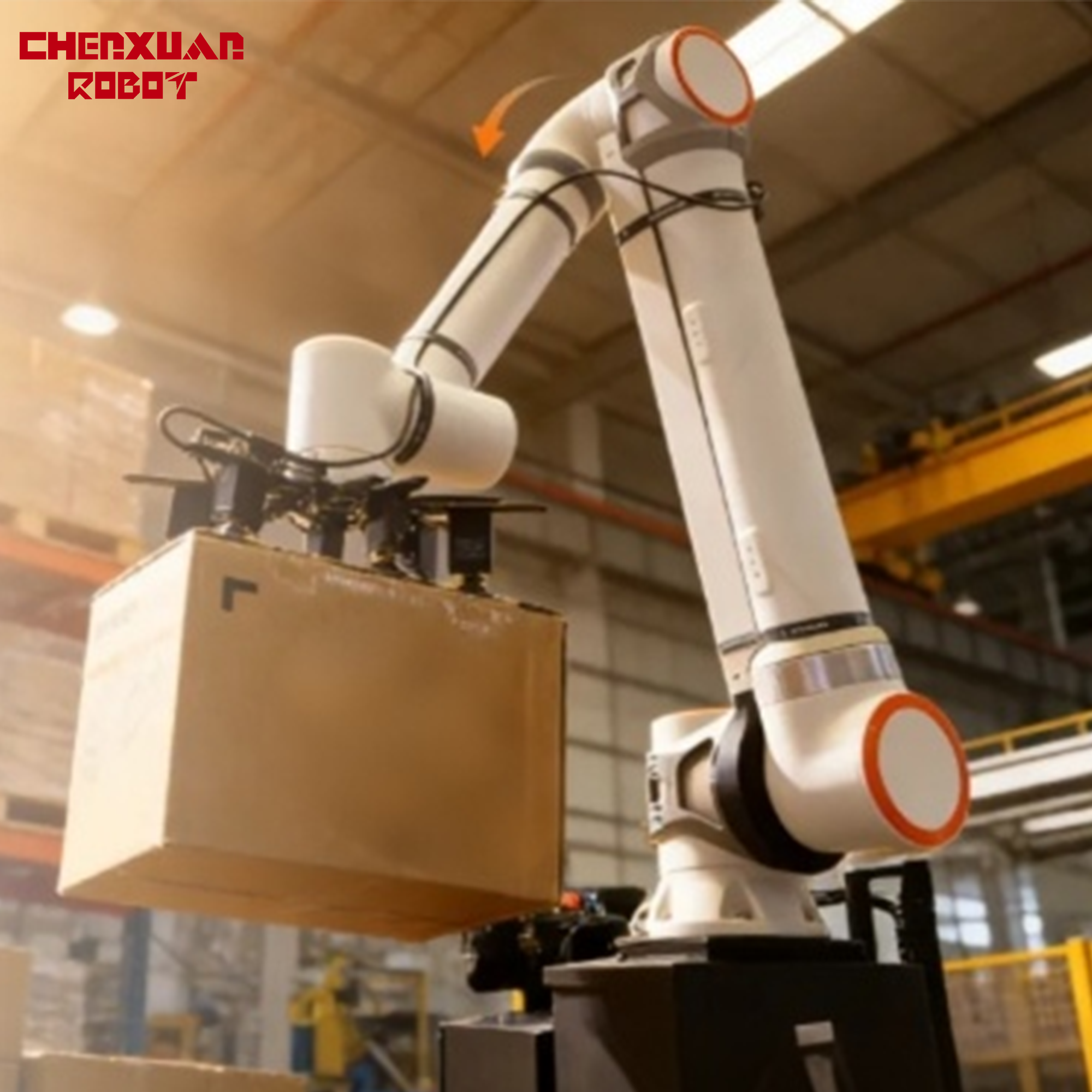 Collaborative Handling Robot