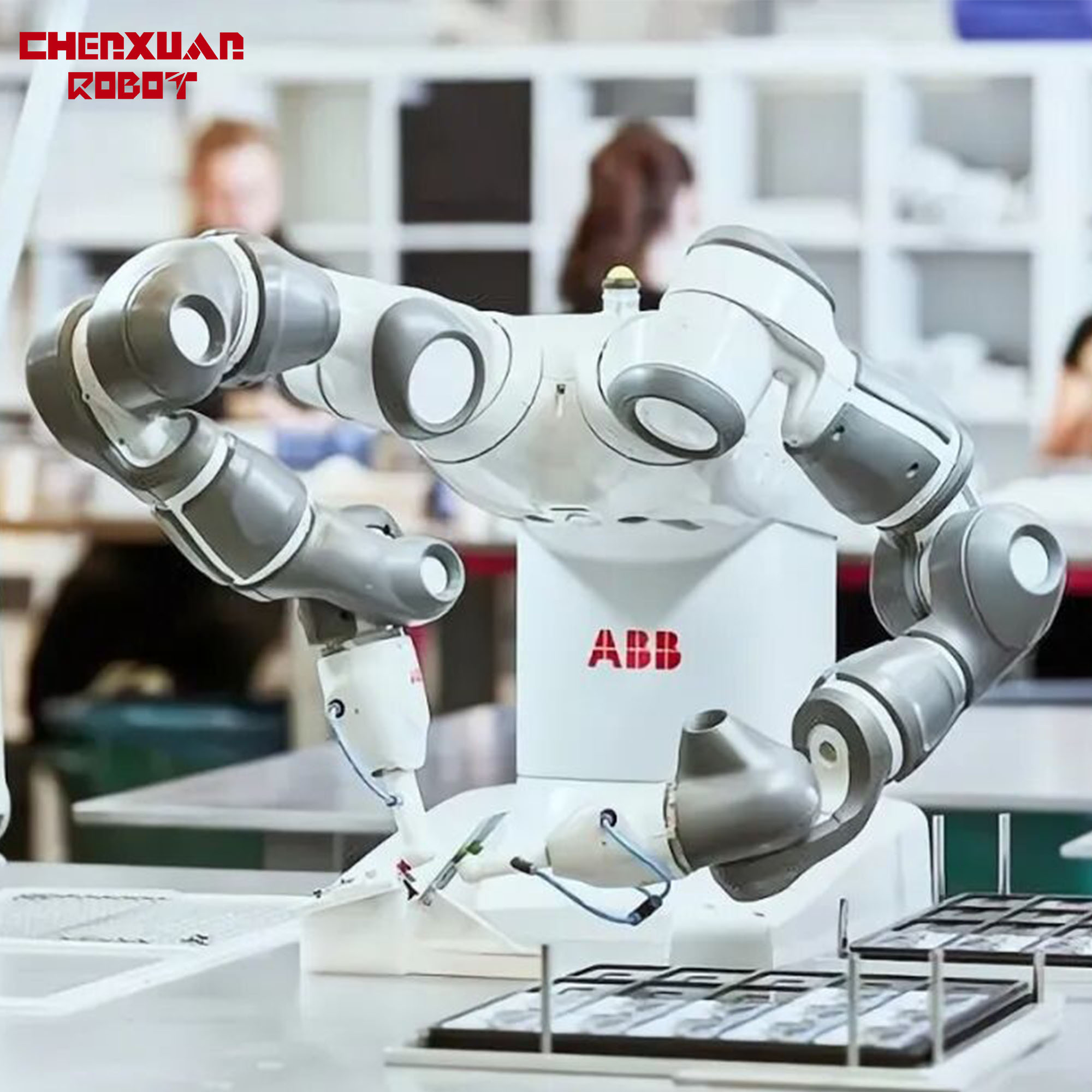 Twin Arm Gripping Robot
