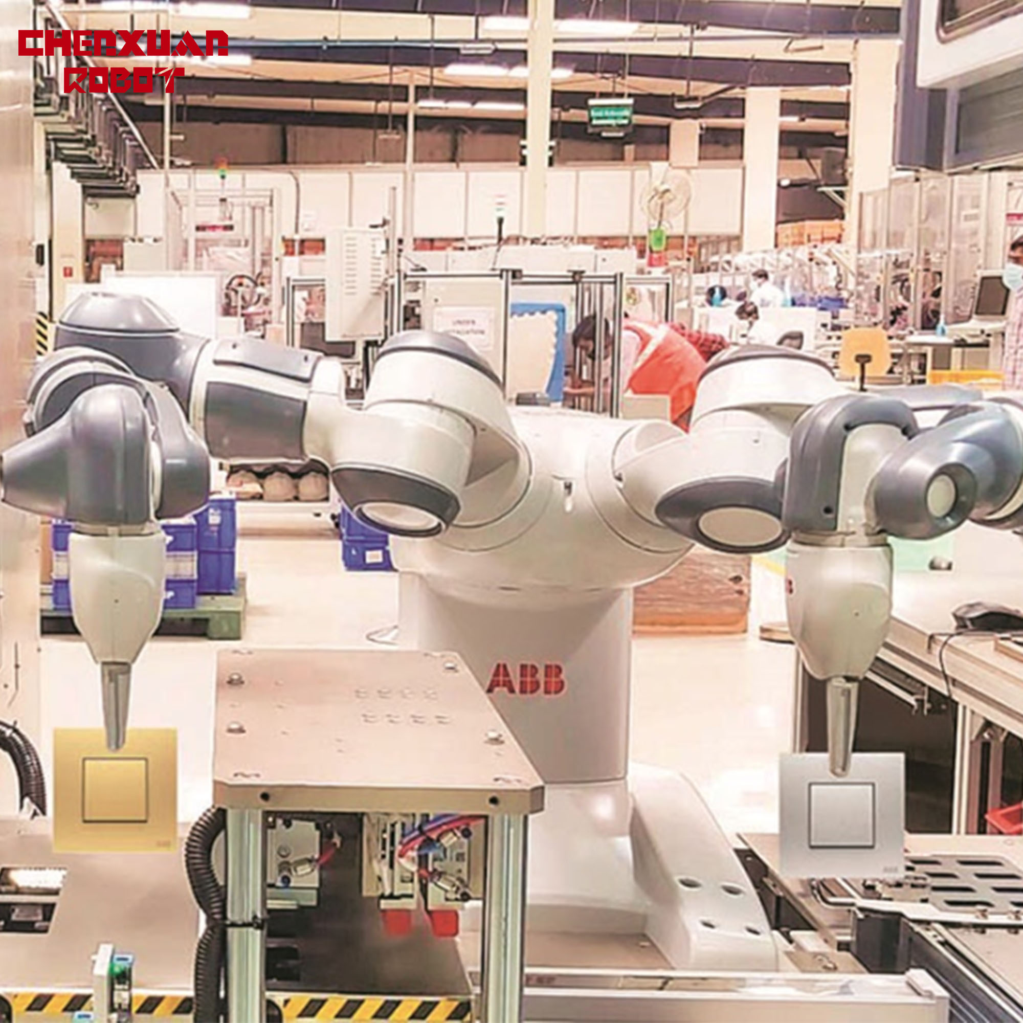 Twin Arm  Gripping Robot