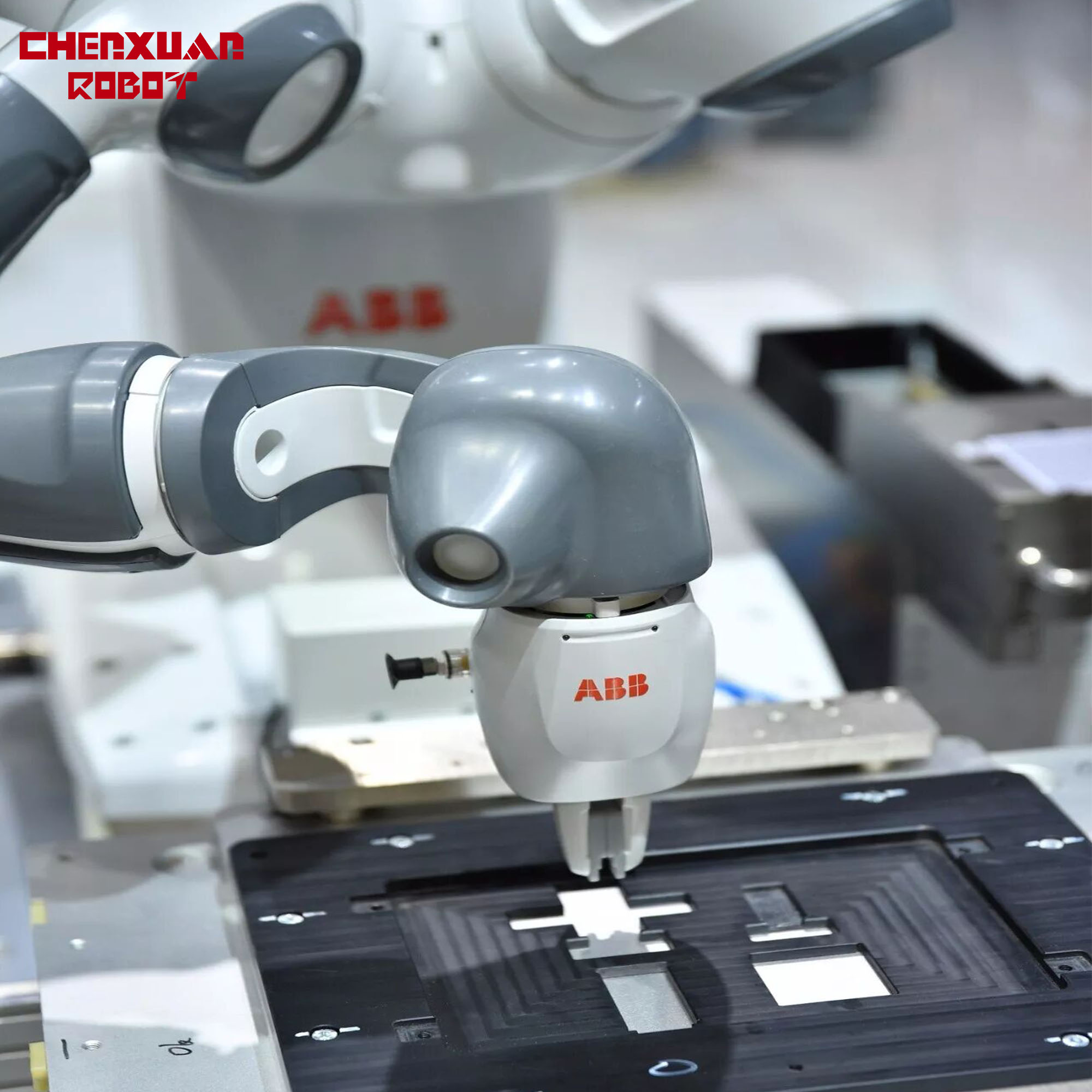 Twin Arm Gripping Robot