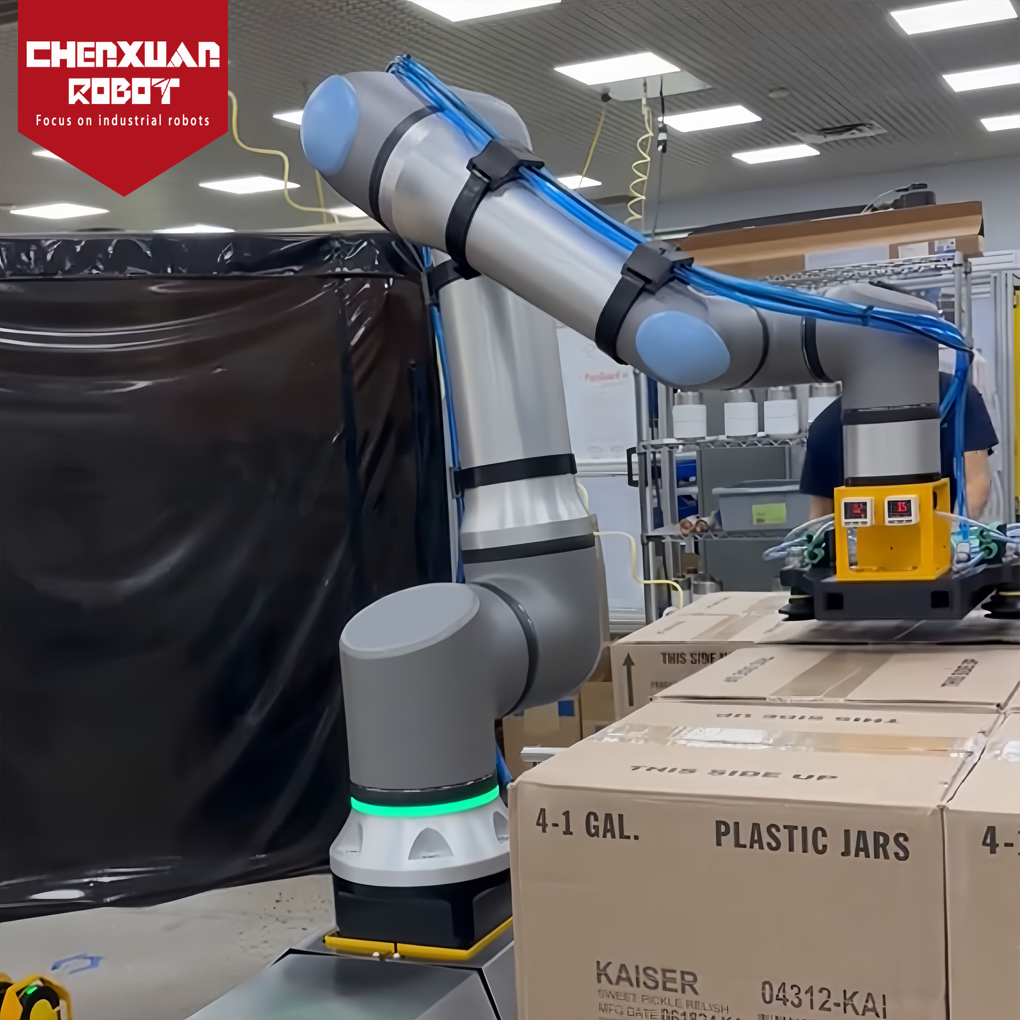Collaborative palletizing robot