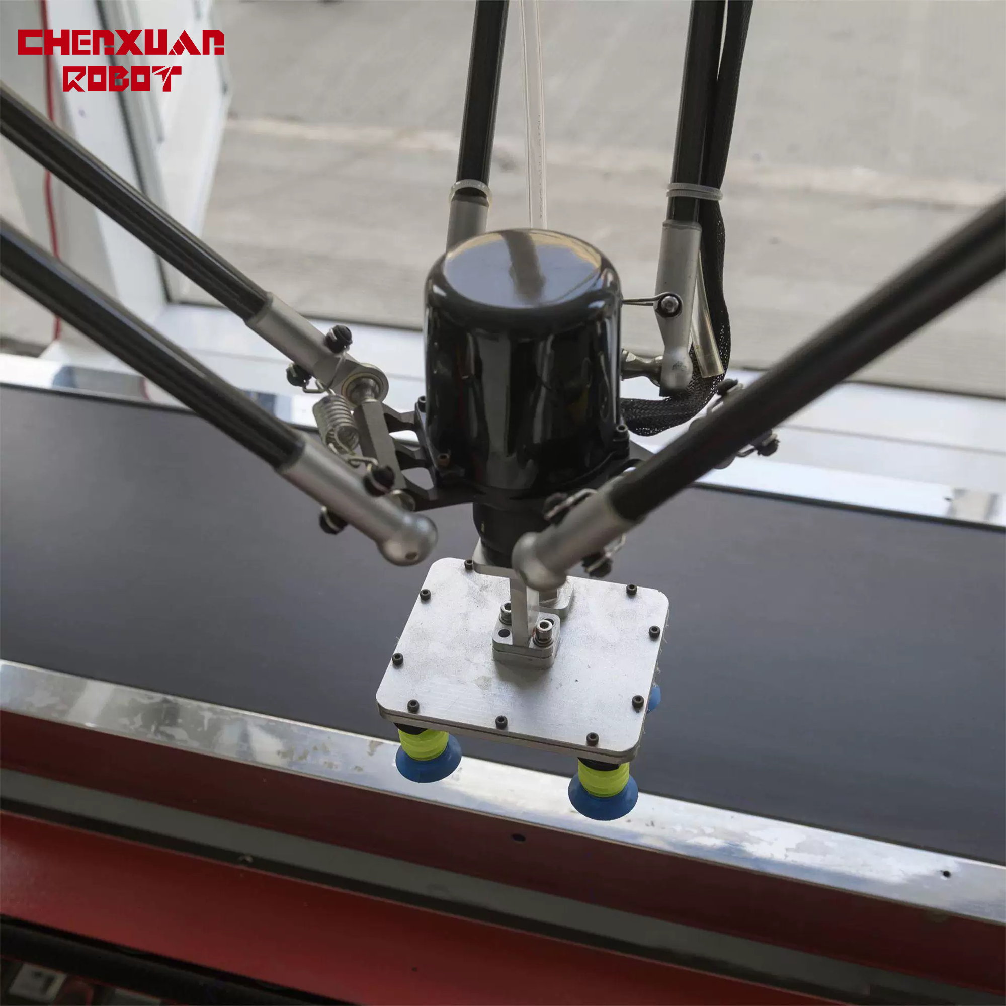 Visual Guided Picking Robot