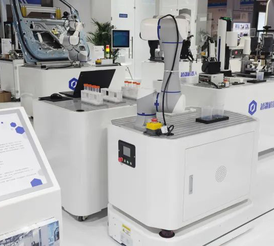 Autonomous Mobile Manipulator