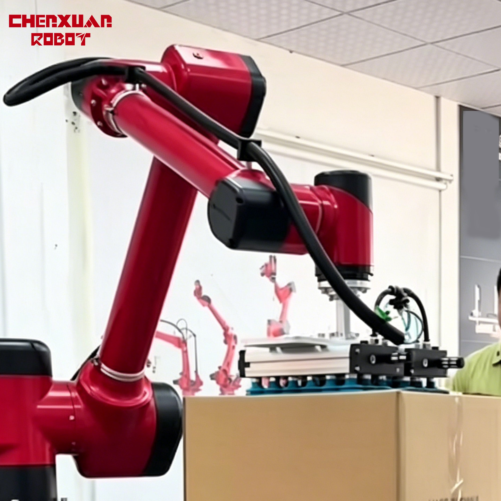 Carton Handling Stacking Robot
