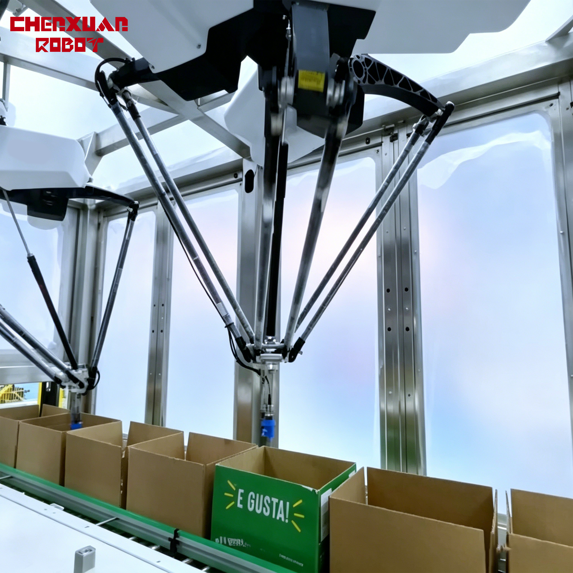 Parallel Sorting Robot