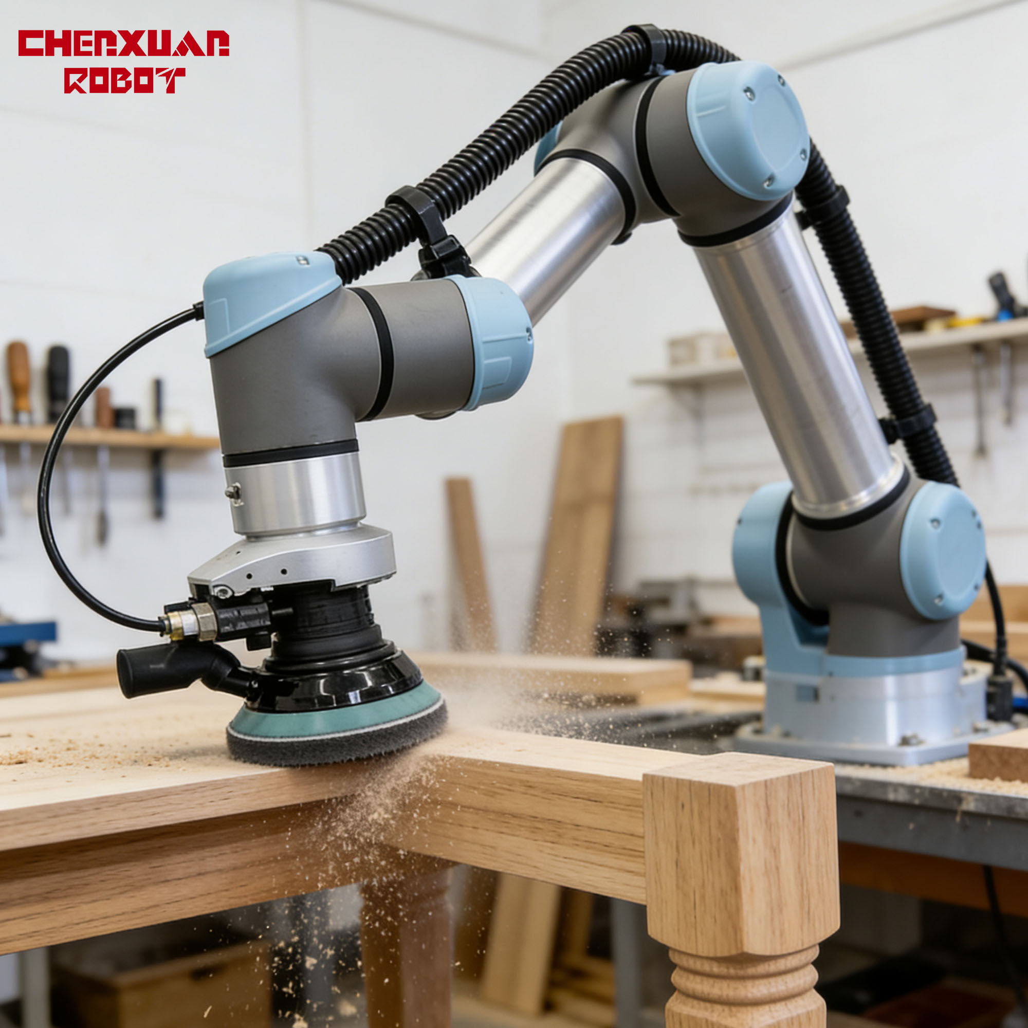 Collaborative Sanding Robot