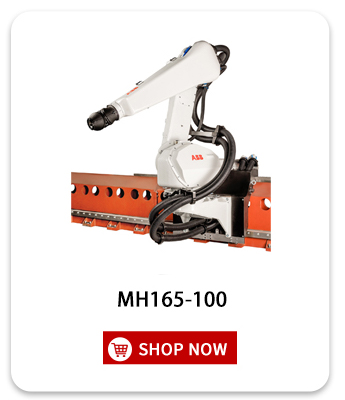 Other Model Products